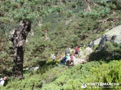 Senda Herreros - Puerto de Navacerrada - Valle de Fuenfría - Ducha de los Alemanes -Embalse Berceas